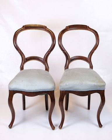 Set of 2 chairs - Rococo - Mahogany - Light blue fabric -1860s